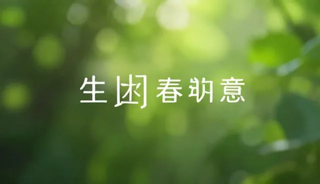 新媒体运营中业务差异的应对策略，如何统一内容方向